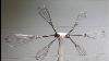 Eggbeater Tv Antenna Do It Yourself Homemade 2 4 6 Eggbeaters Whisk
